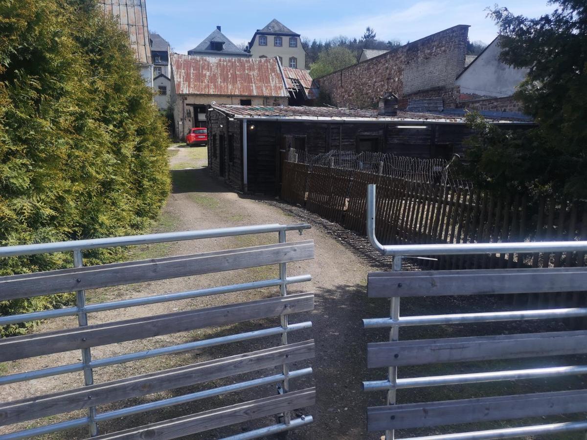 Ferienhaus Salmtal Himmerod Grosslittgen Exterior photo