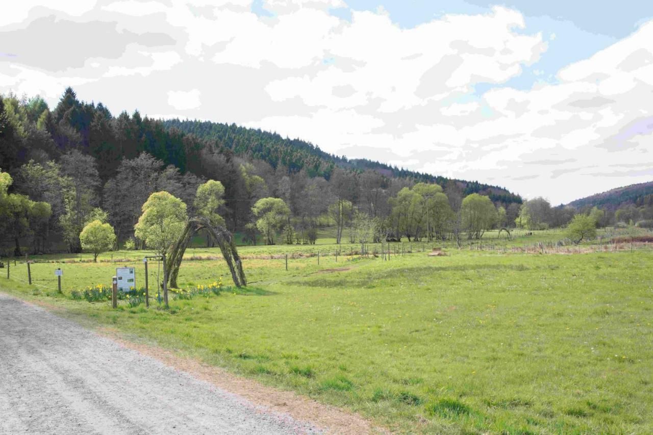 Ferienhaus Salmtal Himmerod Grosslittgen Exterior photo